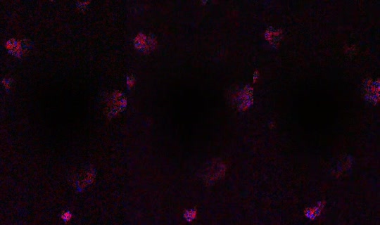 crazygi322 TikTok Live — Sep 30, 2026, 5:10 PM