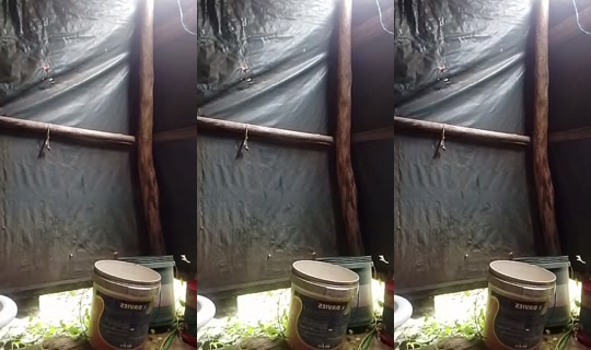 crizia385 TikTok Live — Aug 25, 2026, 3:04 AM