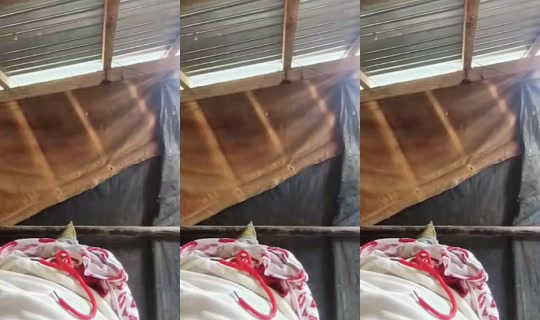 crizia385 TikTok Live — Aug 30, 2026, 2:40 AM