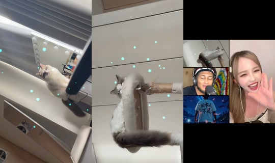 cryb.kitty TikTok Live — Oct 4, 2026, 3:06 AM