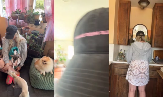 cryptosunshyne TikTok Live — Sep 29, 2026, 8:01 PM