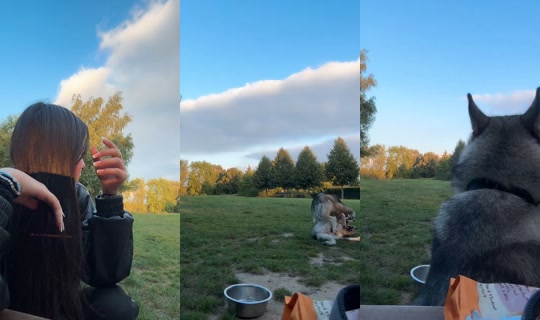 cuteandcomplicated TikTok Live — Aug 26, 2026, 5:37 PM