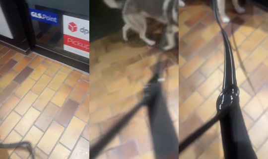 cuteandcomplicated TikTok Live — Oct 1, 2026, 11:28 PM