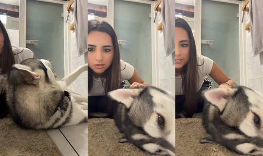 cuteandcomplicated TikTok Live — Oct 3, 2026, 6:15 PM