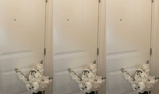 cutenatalia28 TikTok Live — Aug 24, 2026, 4:45 AM