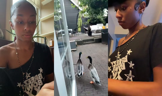 d33didthat TikTok Live — Sep 3, 2026, 6:07 PM