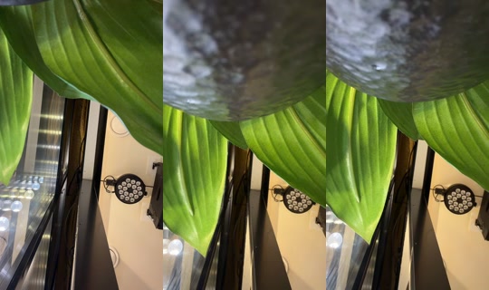 da.shiik.solodkaya TikTok Live — Aug 31, 2026, 11:22 PM