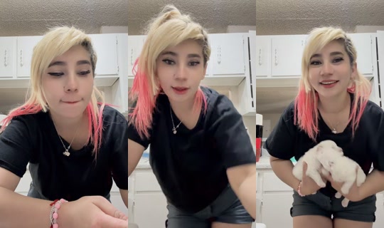 daannymachadooficial TikTok Live — Sep 6, 2026, 2:22 AM