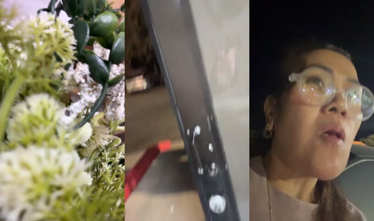 dah1766 TikTok Live — Oct 5, 2026, 5:04 AM