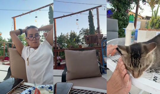 dah1766 TikTok Live — Oct 7, 2026, 1:12 AM