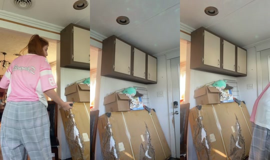dallycatgrace TikTok Live — Aug 21, 2026, 8:55 PM