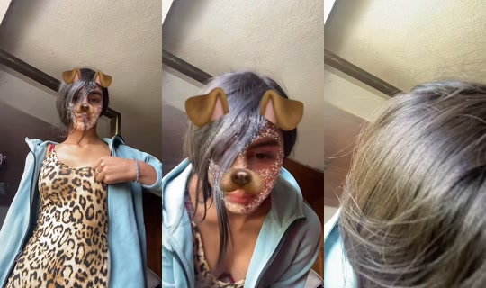 damirpresebe TikTok Live — Sep 21, 2026, 12:55 PM