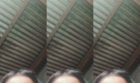 danilaytsss_ TikTok Live — Oct 3, 2026, 11:44 AM