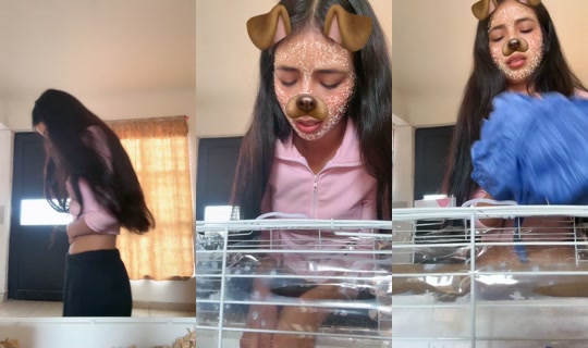 danny.cll TikTok Live — Sep 1, 2026, 8:47 PM