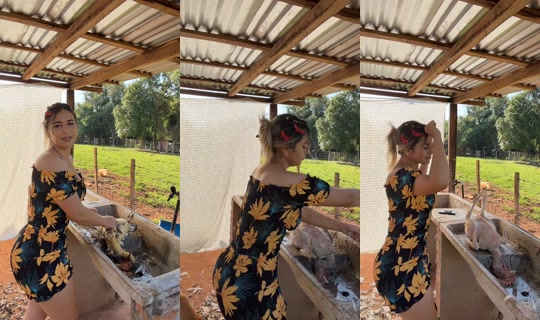 dannylu250 TikTok Live — Sep 28, 2026, 11:34 AM
