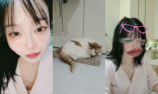 dao_n06 TikTok Live — Aug 31, 2026, 4:21 AM