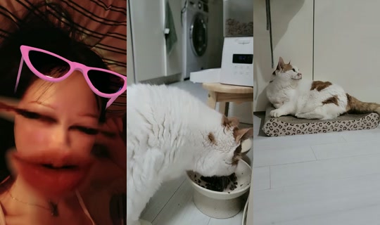 dao_n06 TikTok Live — Aug 31, 2026, 9:20 AM