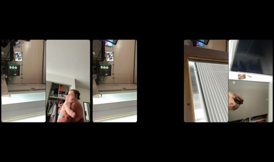 darkwolf1901 TikTok Live — Sep 1, 2026, 6:58 PM