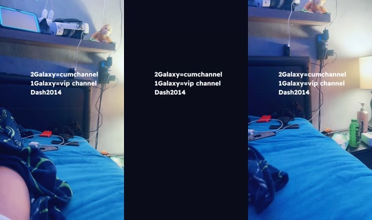 dash_dgraff TikTok Live — Sep 16, 2026, 12:23 AM