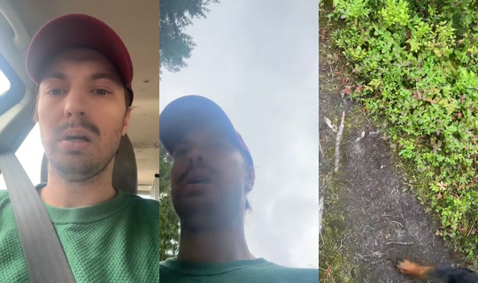 davidjohansen77 TikTok Live — Aug 24, 2026, 8:06 AM