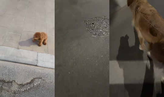 dbnitn TikTok Live — Oct 4, 2026, 2:15 PM