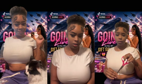 dearalexis1 TikTok Live — Aug 24, 2026, 10:22 PM