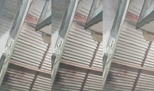debi6773 TikTok Live — Sep 29, 2026, 11:04 AM