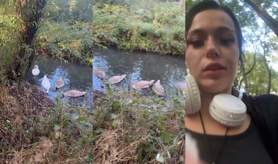 dedgrl.exe TikTok Live — Aug 31, 2026, 7:40 AM