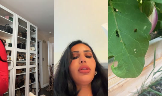 deenabatayeh TikTok Live — Aug 31, 2026, 7:14 PM