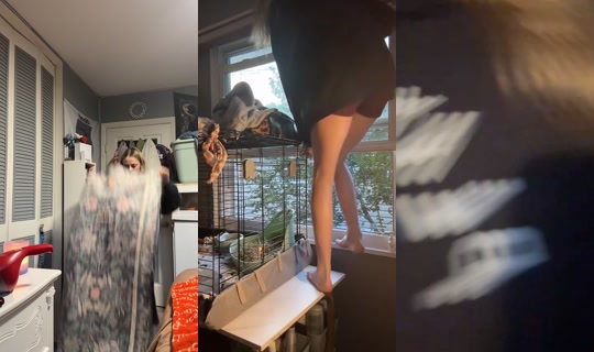 des.secret.2.0 TikTok Live — Aug 24, 2026, 12:10 AM