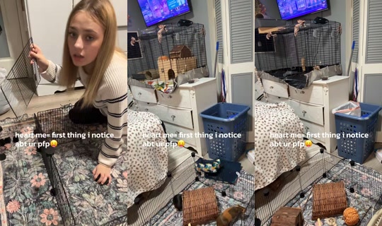 des.secret.2.0 TikTok Live — Oct 8, 2026, 7:22 PM