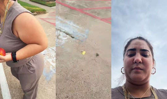 dgpacheco0 TikTok Live — Sep 2, 2026, 11:09 PM