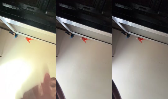 dinocece18 TikTok Live — Aug 27, 2026, 6:13 PM