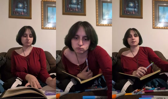 dinonuggetsreveng TikTok Live — Sep 22, 2026, 11:45 PM