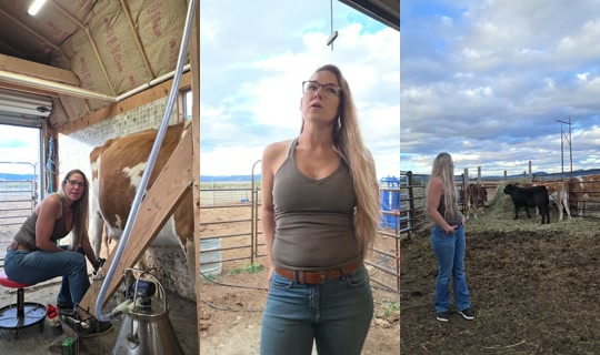 dirtygirlfarm TikTok Live — Oct 1, 2026, 12:00 AM