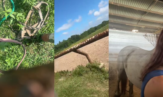 dizzymiss.lizzie TikTok Live — Aug 21, 2026, 3:34 PM