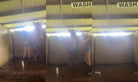 dizzymiss.lizzie TikTok Live — Aug 21, 2026, 5:36 PM