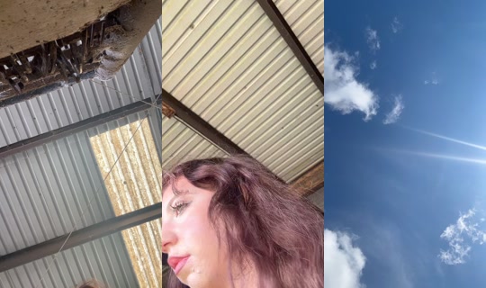 dizzymiss.lizzie TikTok Live — Aug 24, 2026, 3:37 PM