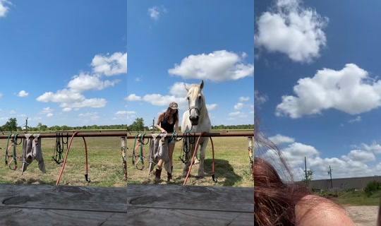 dizzymiss.lizzie TikTok Live — Aug 24, 2026, 4:51 PM