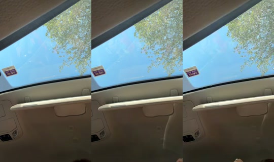 dizzymiss.lizzie TikTok Live — Aug 28, 2026, 2:50 PM