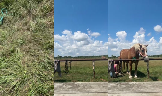 dizzymiss.lizzie TikTok Live — Aug 28, 2026, 4:48 PM