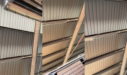 dizzymiss.lizzie TikTok Live — Aug 31, 2026, 4:43 PM