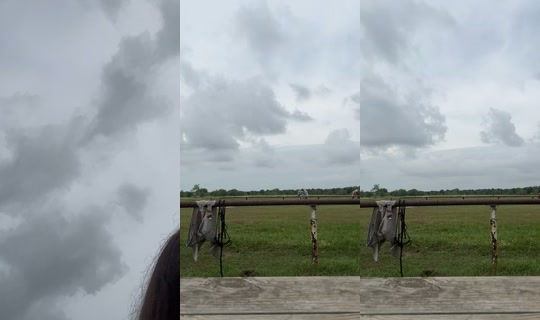 dizzymiss.lizzie TikTok Live — Sep 2, 2026, 2:57 PM