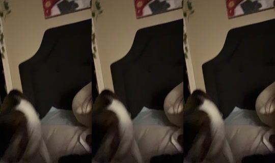 dizzymiss.lizzie TikTok Live — Sep 3, 2026, 1:15 PM