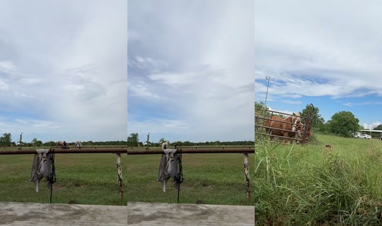 dizzymiss.lizzie TikTok Live — Sep 3, 2026, 4:06 PM