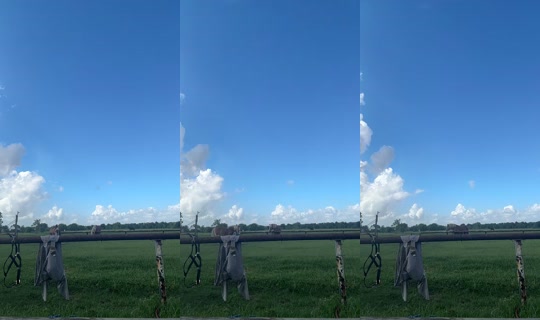 dizzymiss.lizzie TikTok Live — Sep 15, 2026, 3:32 PM
