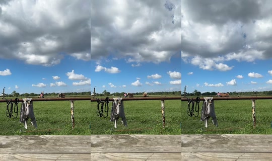 dizzymiss.lizzie TikTok Live — Sep 18, 2026, 3:52 PM