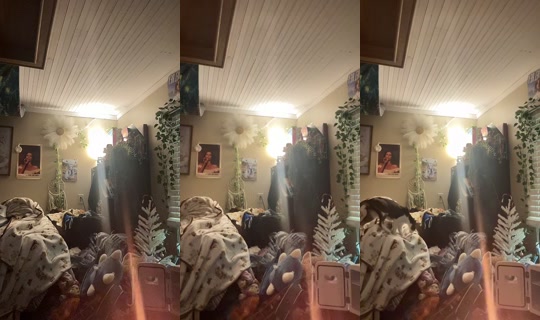 dizzymiss.lizzie TikTok Live — Sep 18, 2026, 8:07 PM