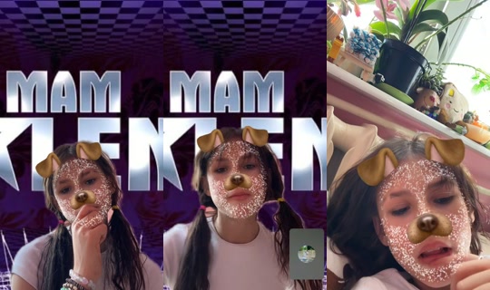 doberman_1235 TikTok Live — Aug 24, 2026, 9:10 AM
