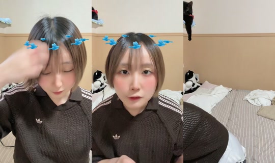 dodekai_onigiri TikTok Live — Aug 25, 2026, 9:02 AM